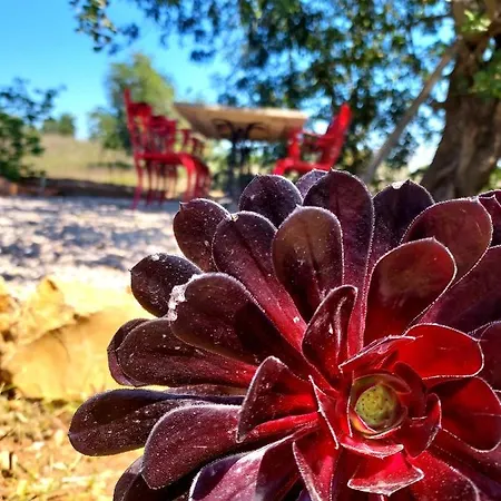 Casa Dos Namorados *